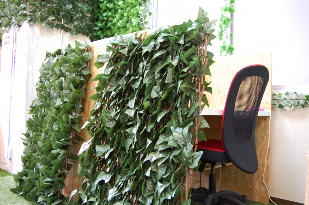 DSC_0073-e1425017506522