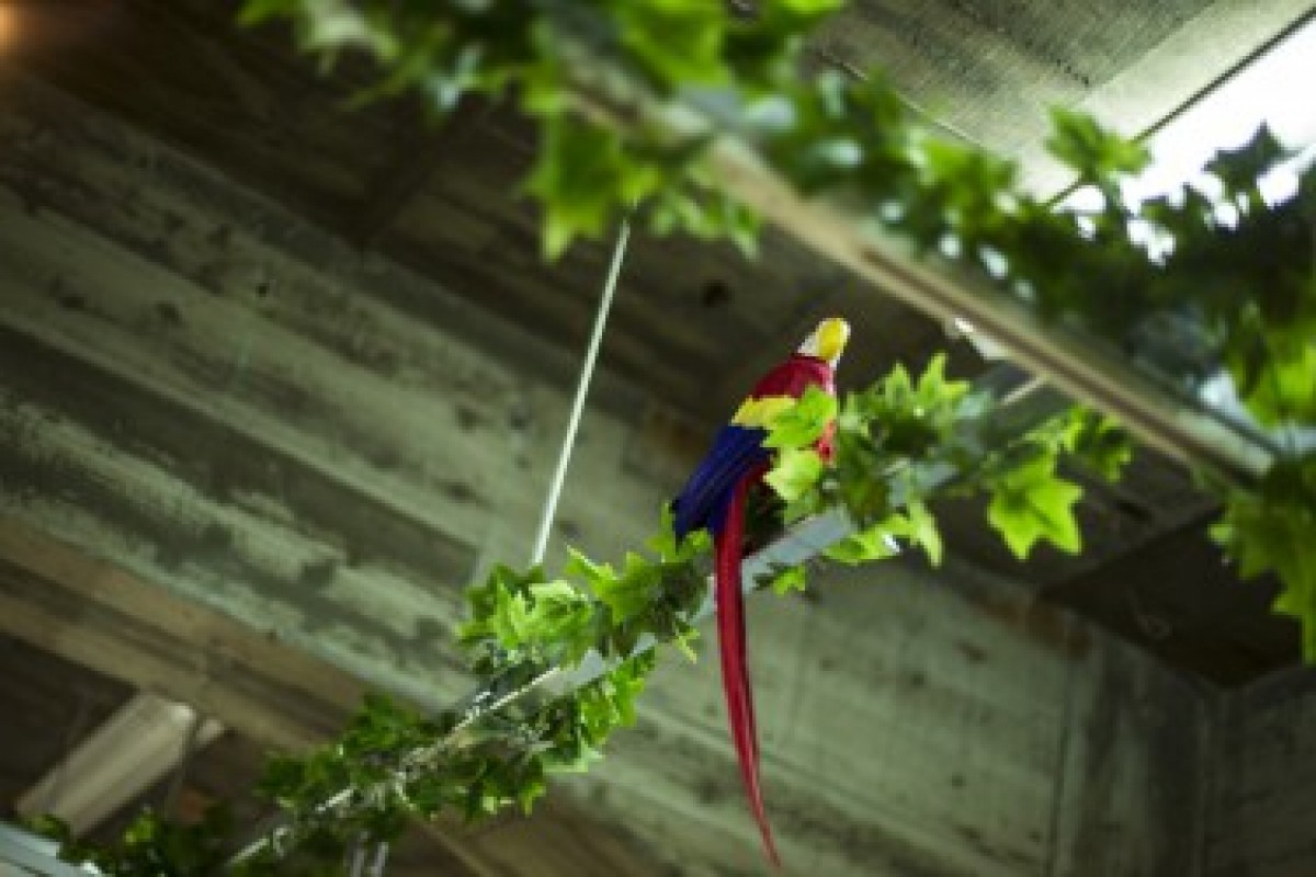 5b4aa2df8bc3ebc9385ad8c24a01fb9e-e1417156747758