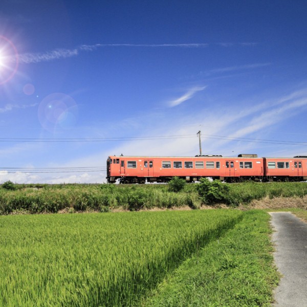 【イベント】12/4 長岡市地域おこし協力隊募集説明会in大阪 @ Blue+ | 大阪市 | 大阪府 | 日本